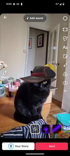 Screenshot_20250307-135559